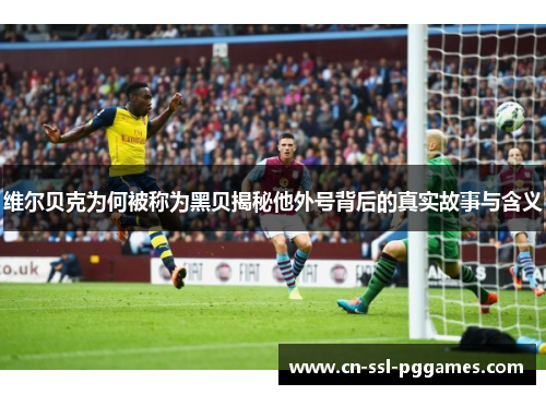 维尔贝克为何被称为黑贝揭秘他外号背后的真实故事与含义