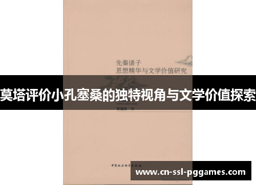 莫塔评价小孔塞桑的独特视角与文学价值探索 莫塔评价小孔塞桑的独特视角与文学价值探索