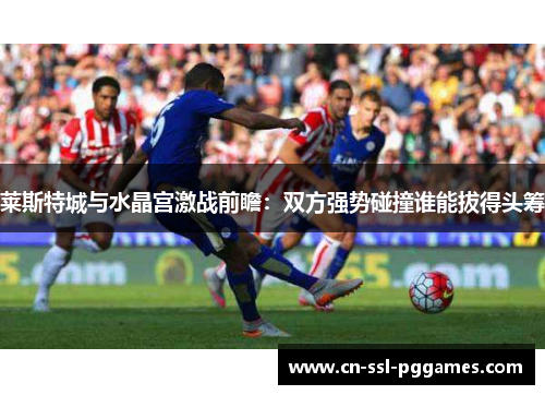 莱斯特城与水晶宫激战前瞻:双方强势碰撞谁能拔得头筹 莱斯特城与水晶宫激战前瞻:双方强势碰撞谁能拔得头筹