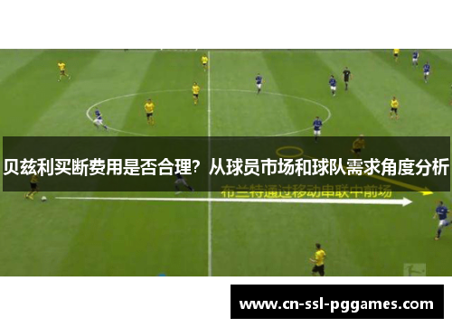 贝兹利买断费用是否合理？从球员市场和球队需求角度分析